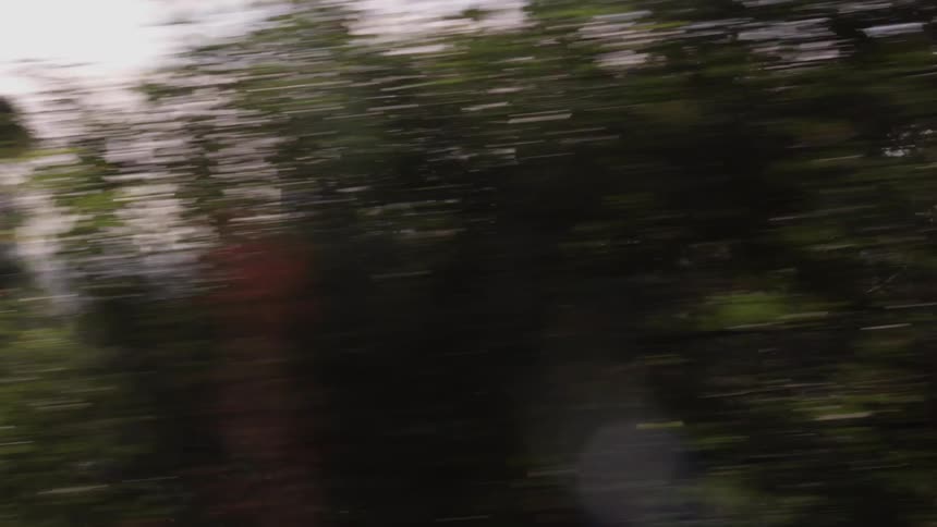 Skyscrapers are seen past trees