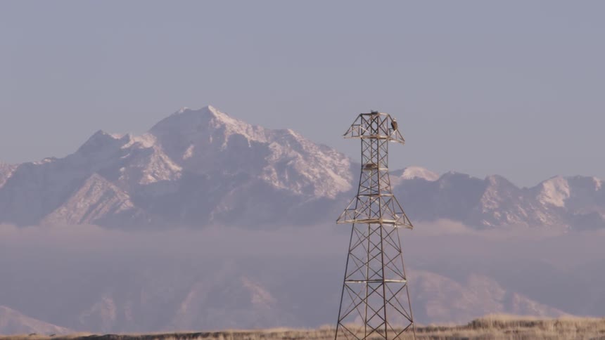 Communication tower standing before snowy mountains on a clear day