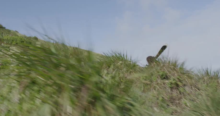 A man carries skis up a grassy hill