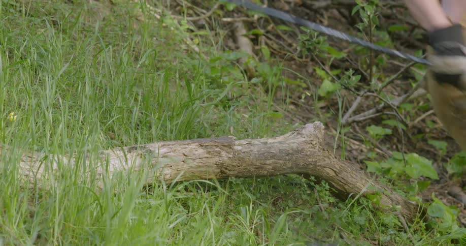 A person skis over a log in the grass