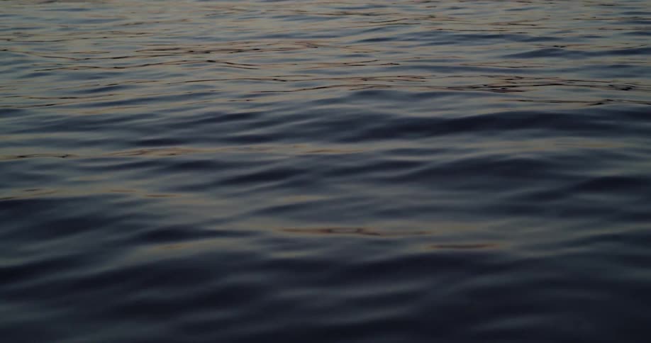 Flying over a calm sea