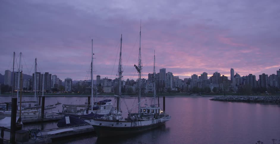 Boats sitting in a harbor with the city skyline in the background