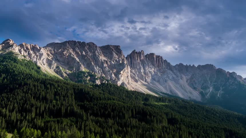 Tall tree covered mountains
