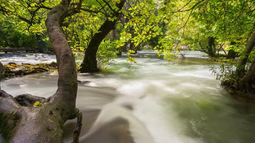 Water flows past trees in a busy river on a sunny autumn day in Plitvice National Park