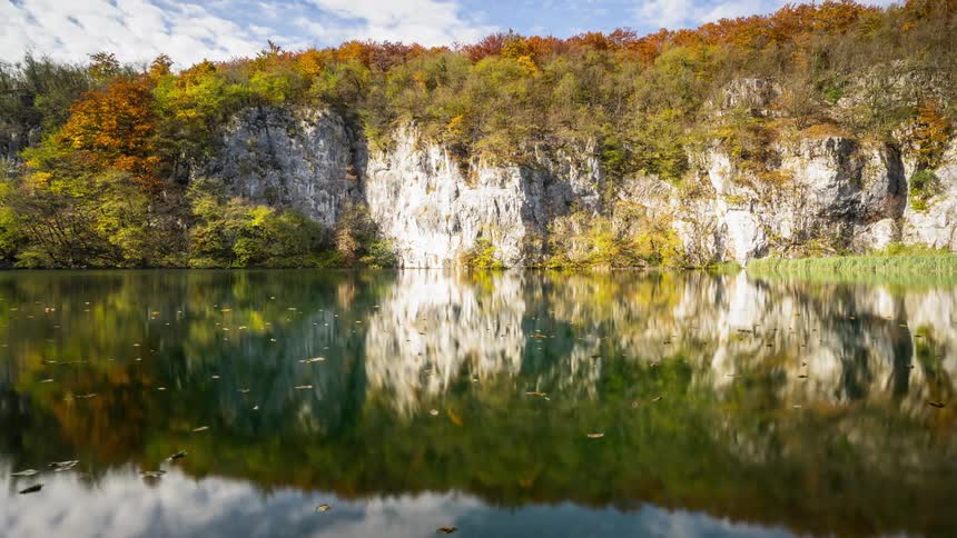 Leaves and insects float on the top of the Plitvice lake in Croatia