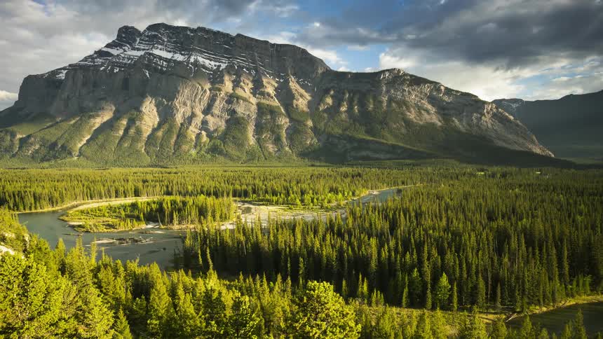 The dense forest leads to the Tunnel mountain in the Canadian Rockies