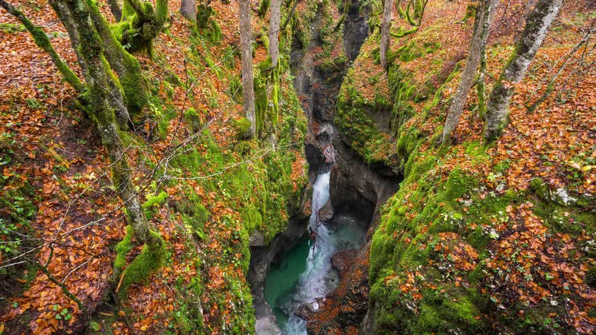 Water flows rapidly down the deep Gorge Mostnica in Slovenia