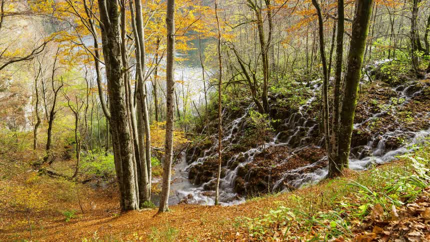 Water flows down the river in the Plitvice national park in Croatia