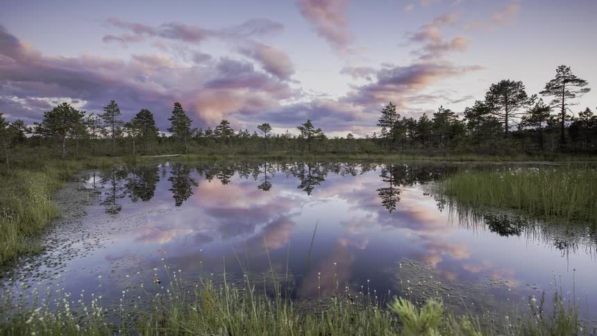Drifting clouds are reflecting in a pond at dusk