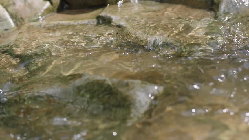 Water in a stream is rippling over rocks during the day