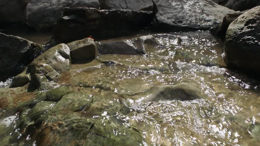 Water flows over rocks in a stream