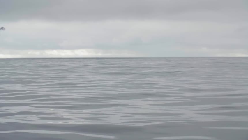 A fishing pole bobs as the tide is rolling in the ocean under a stormy sky