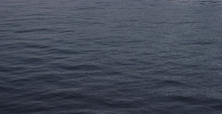 Water ripples on a body of water