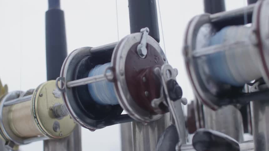 Fishing reels are lined up attached to poles
