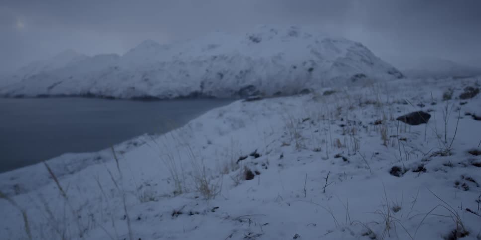 Snowy mountains and blowing grass on a windy day