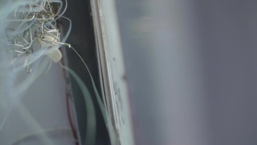 Wires hanging loose and hitting against a wall