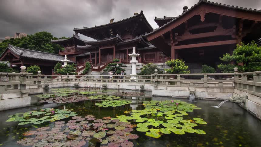 People walk by a pond with lily pads