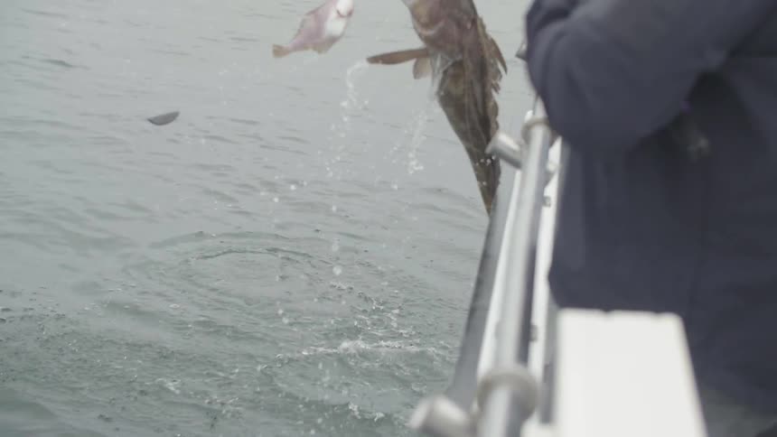 A man is reeling in a fish on a boat