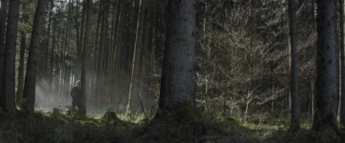 A man in a jacket is walking in the foggy woods during the day time