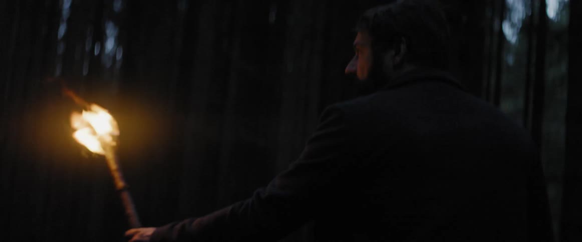 A man carrying a torch at sunset in the woods to find his way