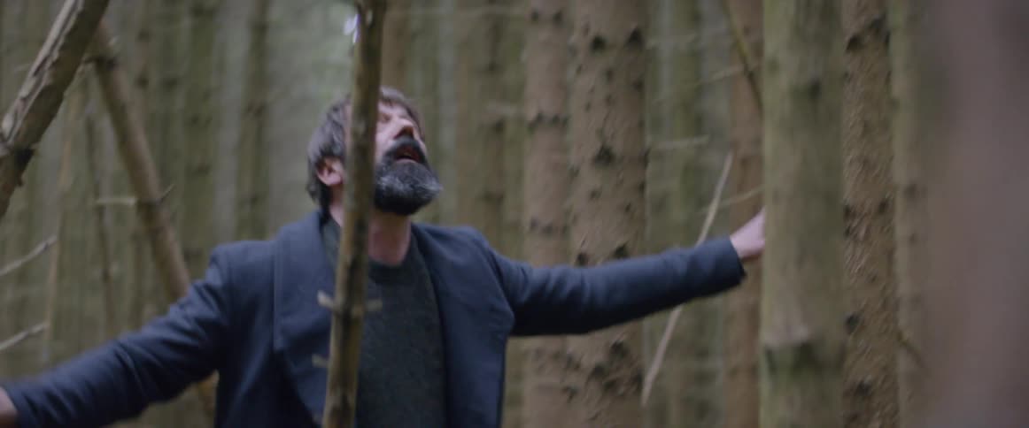 A man is lost in a forest