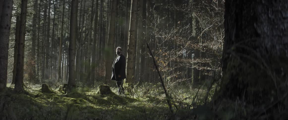 A man walks through the thick grass in the woods