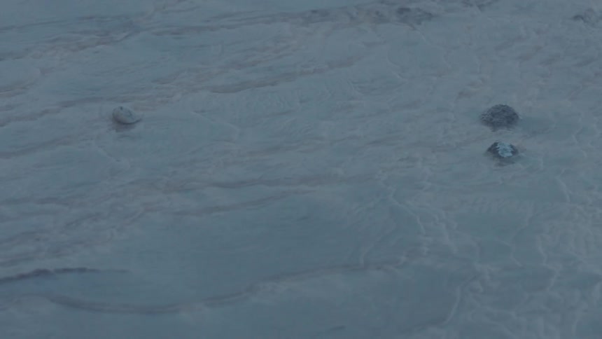 Water flows around rocks in a shallow stream