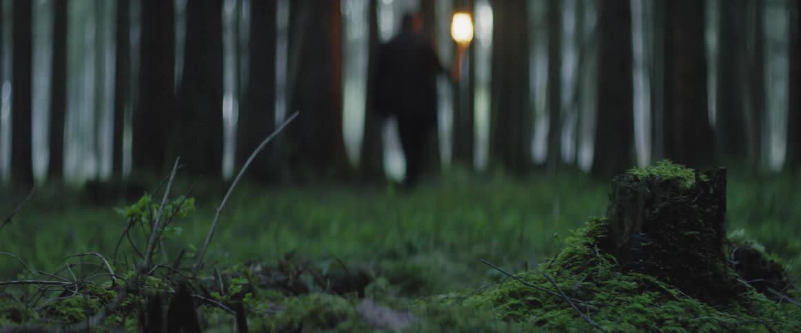 A man walks in a forest with a burning torch