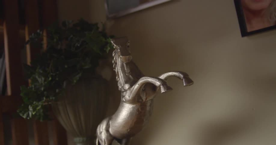 A statue in a house