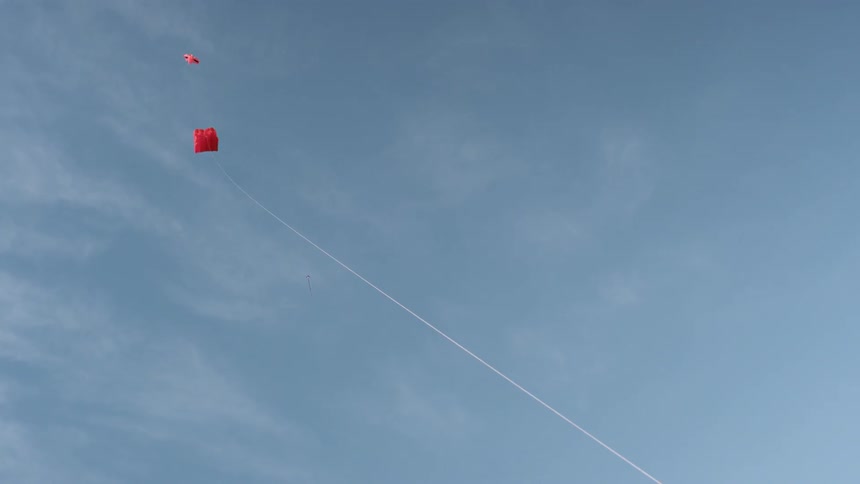 Kites fly in the sky