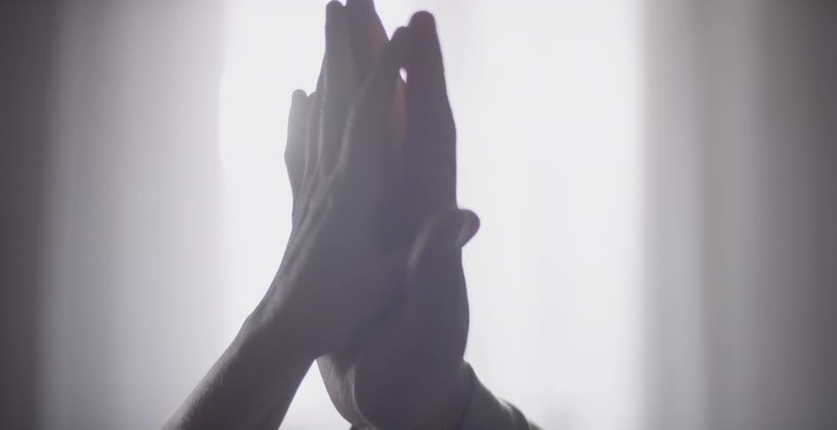 A man and woman touch their hands together in front of a sunny window
