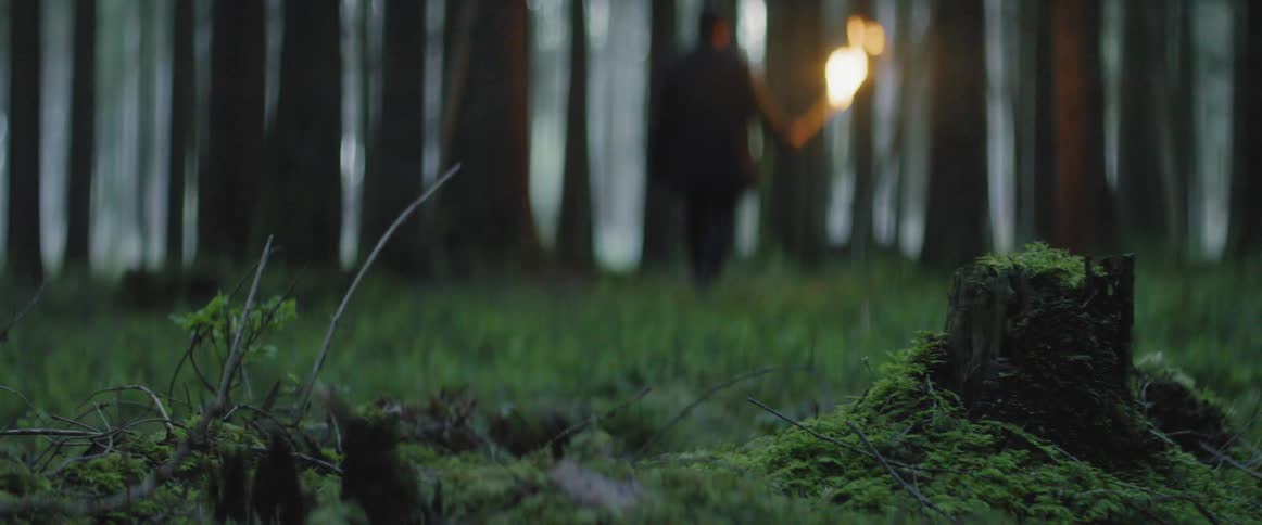 A man walks through the grass in the woods