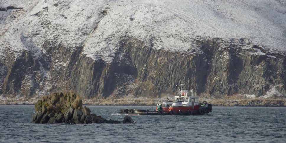 A small boat is going through the sea with a large mountain in the background and birds circling