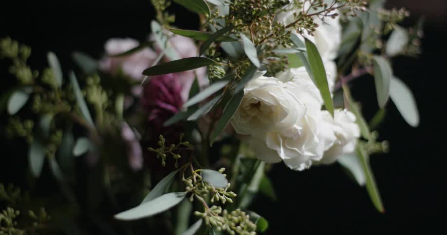 Lights shine on roses and plants