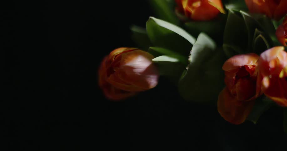 Orange flowers are being shown as a light turns on and off