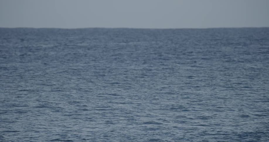 Ocean waves flow on the open waters