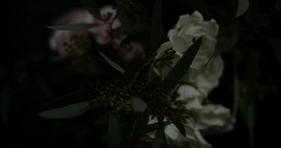Flowers are blooming as the light fades in and out
