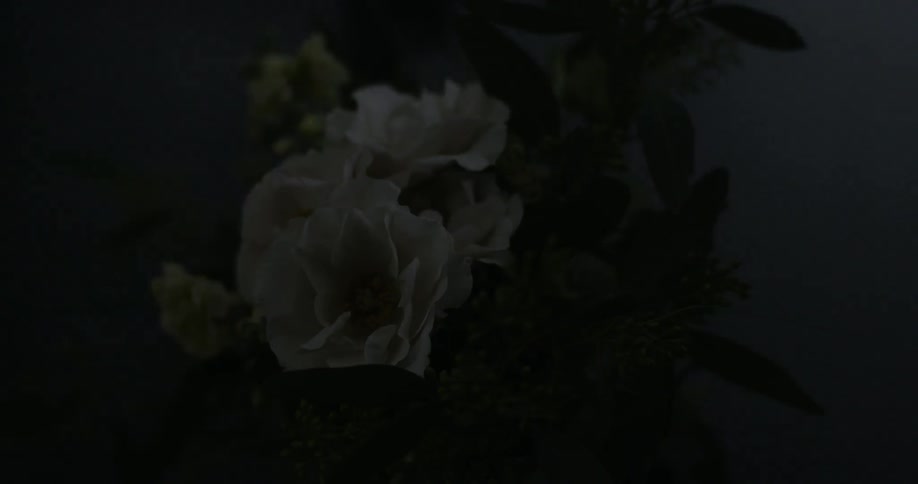 Flowers are blooming as a light is turned on and off