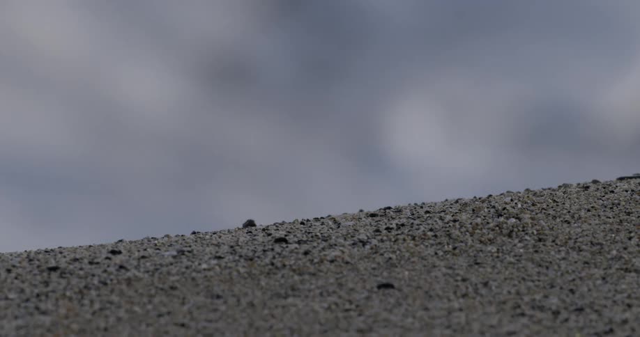 Smoke floats over the ground