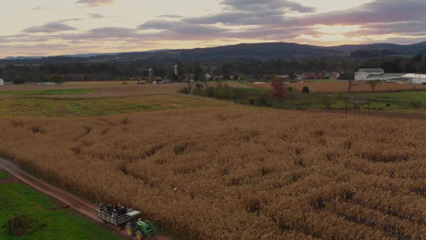 A corn maze sits on a farm at sunset