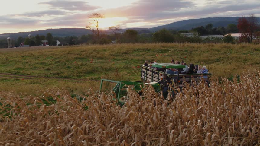 Tractor pulls a wagon filled with people on a path alongside crops