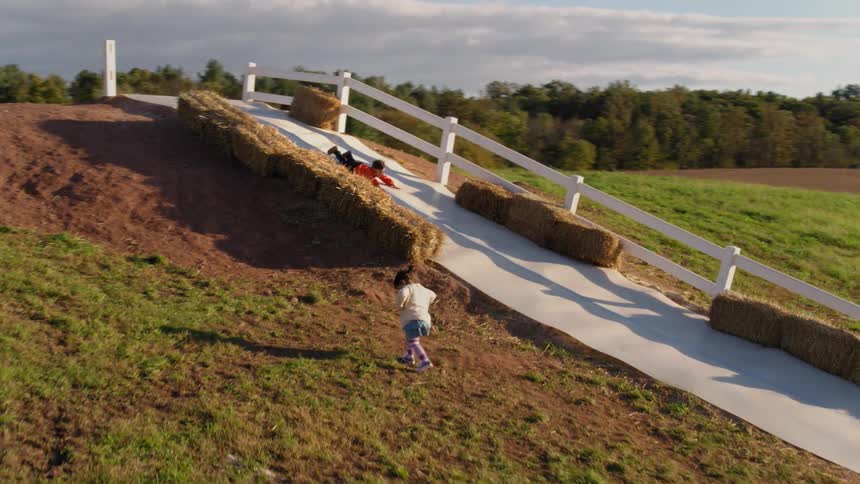 Children go down a slide on a farm