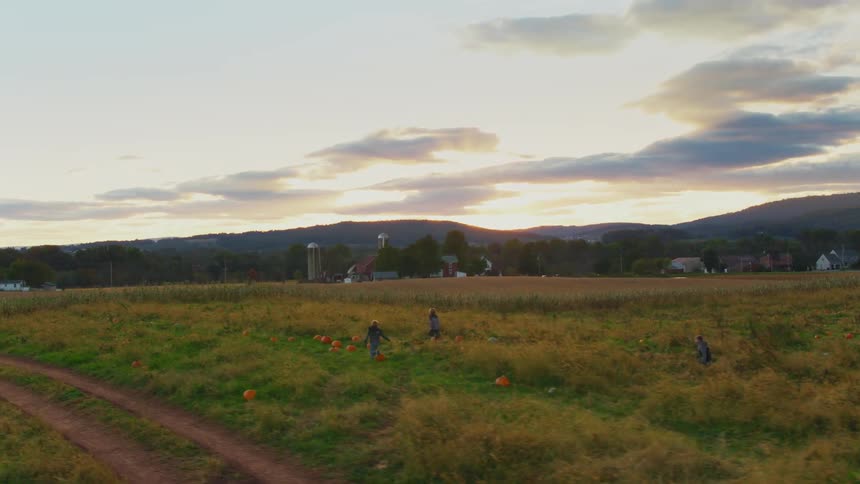 Children run through a pumpkin patch on a farm