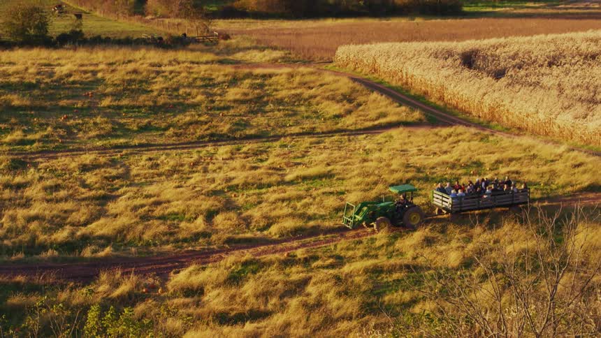 A tractor is carrying a group of passengers on a farm