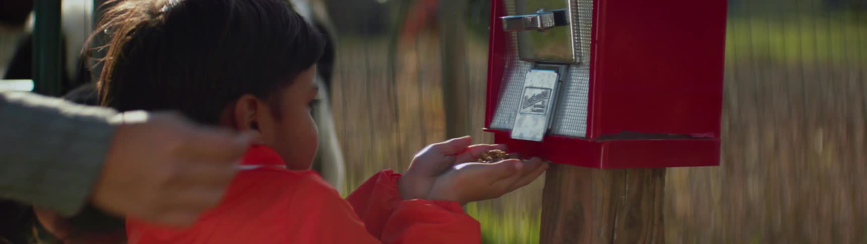 A child getting animal feed from a dispenser