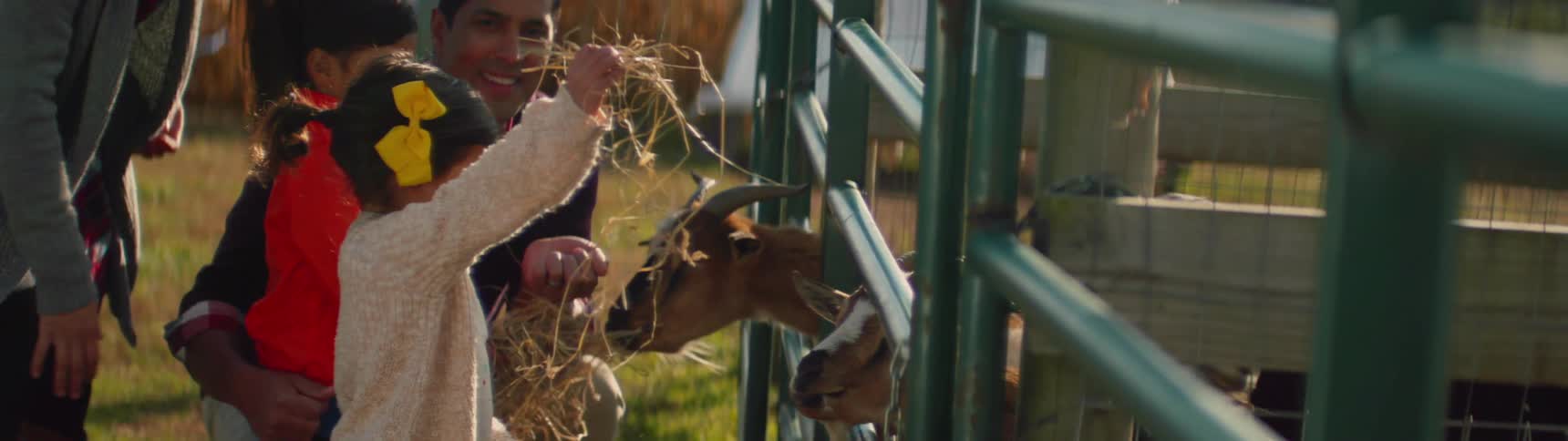 A family feeds goats on a farm
