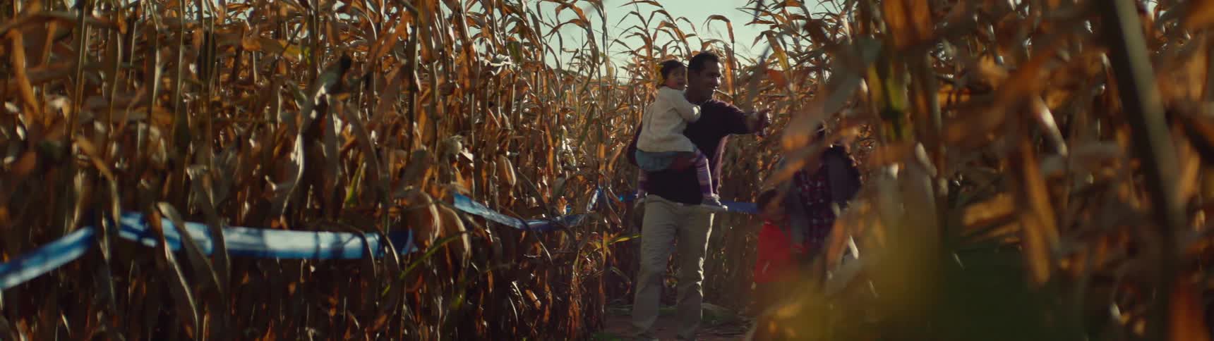 A family walks through a corn maze
