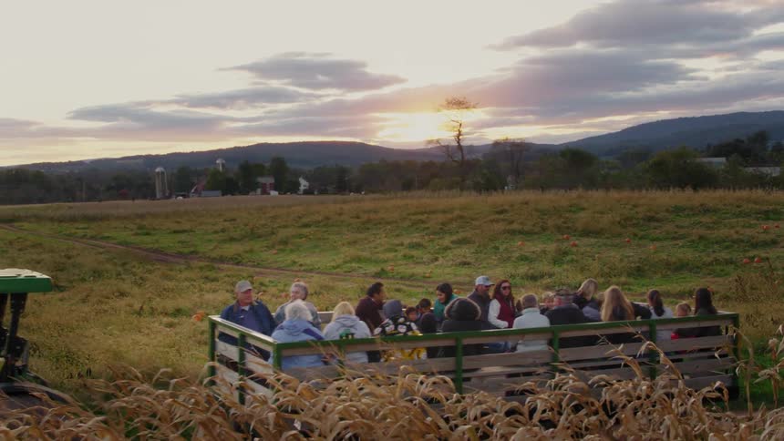 Tractor pulling a wagon full of people next to a cornfield at sunset