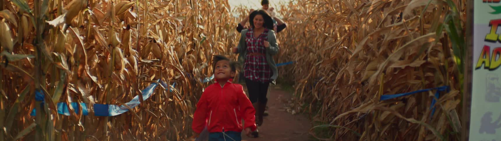 A family runs in a corn maze