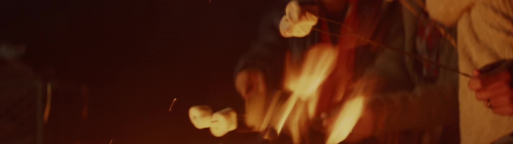 A family are roasting marshmallows over a campfire at night